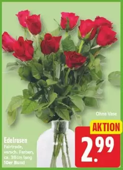 Fairtrade - Edelrosen