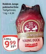 Junge polnische Ente Tiefgefroren