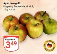 Apfel Jonagold