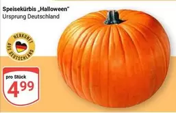 Speisekürbis "Halloween"