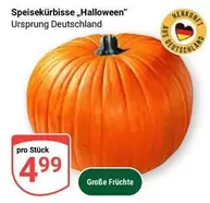 Speisekürbisse "Halloween"