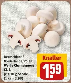 Weiße Champignons Kl. I