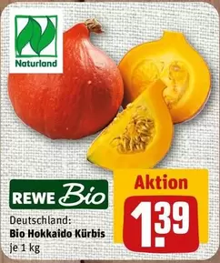 Bio -  Hokkaido Kürbis