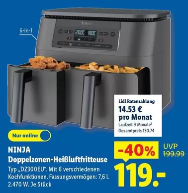 Doppelzonen-Heißluftfritteuse Typ DZ300EU