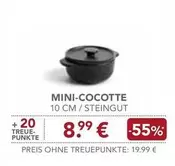 MINI-COCOTTE