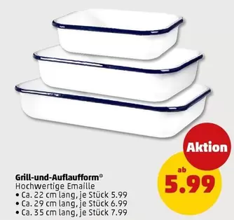 Grill- und Auflaufform