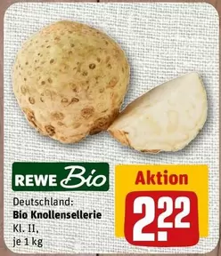 Bio -  Knollensellerie