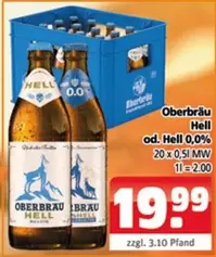 Shell - Hell