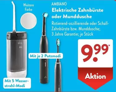 Elektrische Zahnbürste oder Munddusche