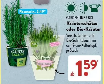 Bio - Kräuterschätze oder -Kräuter