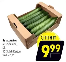 Salatgurken