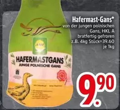 Hafermast-Gans Junge Polnische Gans