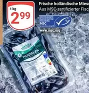 Frische holländische Miesmuscheln