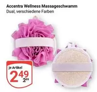Wellness Massageschwamm Dual