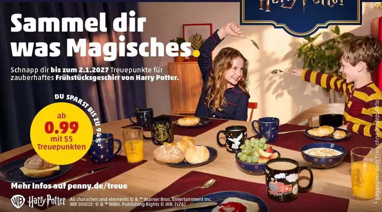 Harry Potter - Sammelpass