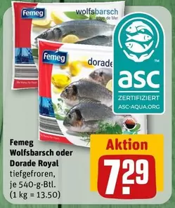 Royal - Wolfsbarsch oder Dorade