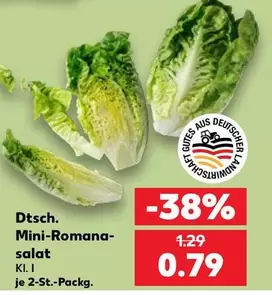 Mini-Romana salat Kl. I