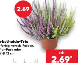 Herbstheide-Trio