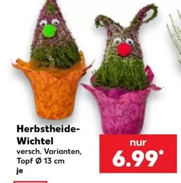 Herbstheide-Wichtel