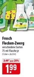 Flecken-Zwerg