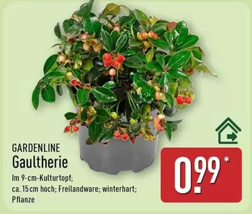 Gautherie