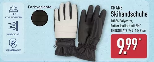 Skihandschuhe