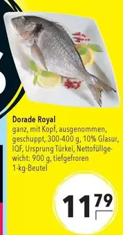 Royal - Dorade
