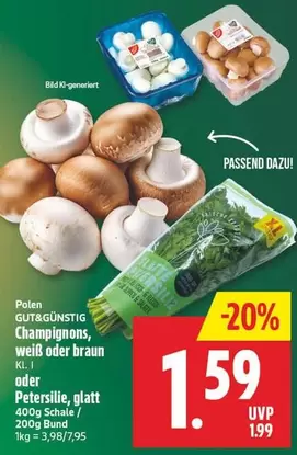 Braun - Gut & Günstig Champignons, weiß oder braun KI. I oder Petersilie, glatt