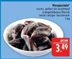 Miesmuscheln