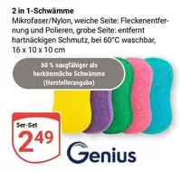 Genius - 2 in 1-Schwämme
