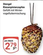 Riesenpinienzapfen gefüllt mit Wintervogelfuttermischung