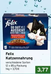 Katzennahrung