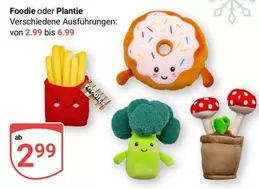 Foodie oder Plantie verschiedene Ausfuhrungen