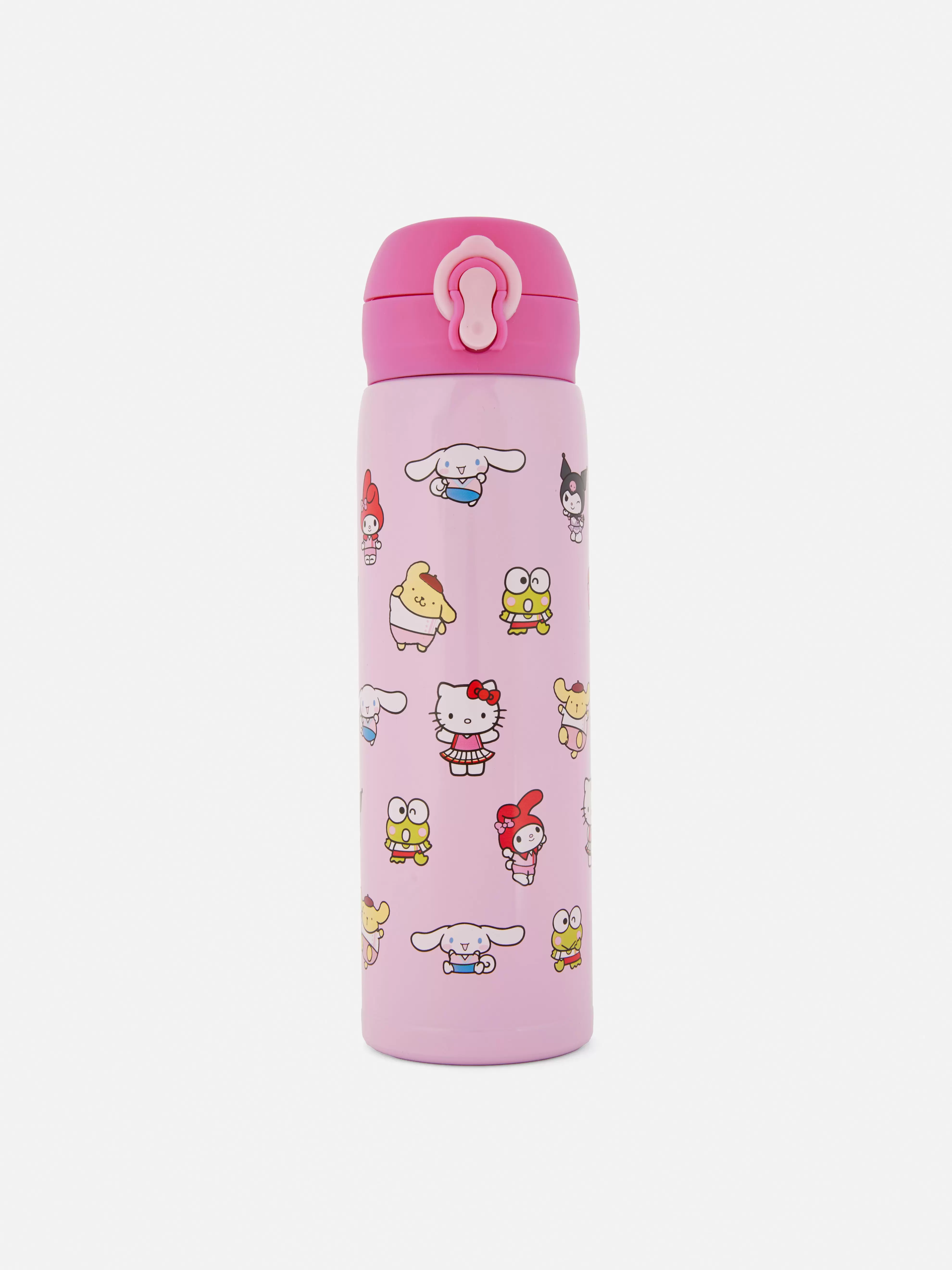 Hello Kitty and Friends Water Bottle