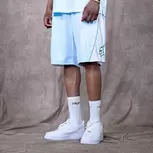 Flame Mesh Shorts