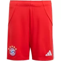 Kinder Teamhose FC Bayern München 25/26 Heim