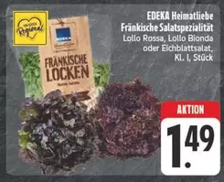 Fränkische Salatspezialität Lollo Rossa, Lollo Bionda oder Eichblattsalat