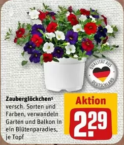 Zauberglöckchen