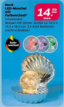 Nord LED-Muschel mit Farbwechsel
