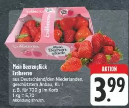 Erdbeeren