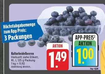 Kulturheidelbeeren