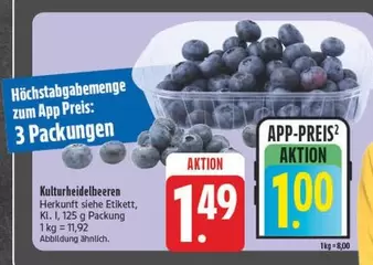 Kulturheidelbeeren