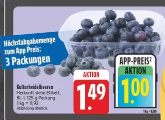 Kulturheidelbeeren
