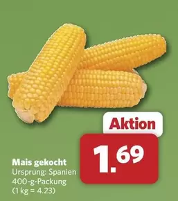 Mais gekocht