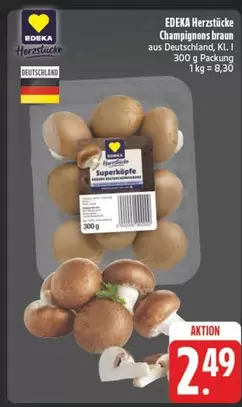 Braun - Champignons braun