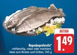 Ideal - Regenbogenforelle