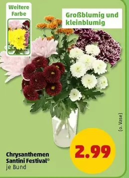 Chrysanthemen Santini Festival