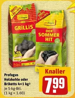 Holzkohle oder Briketts