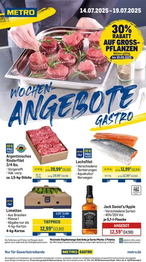 Metro Katalog in Bremen | Aktuelle Schnäppchen und Angebote | 2025-07-14T00:00:00.000Z - 2025-07-19T00:00:00.000Z