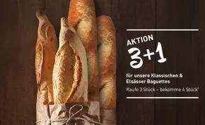 Der Beck Katalog in Stuttgart | Aktion 3+1 | 2025-07-23T00:00:00.000Z - 2025-08-31T00:00:00.000Z